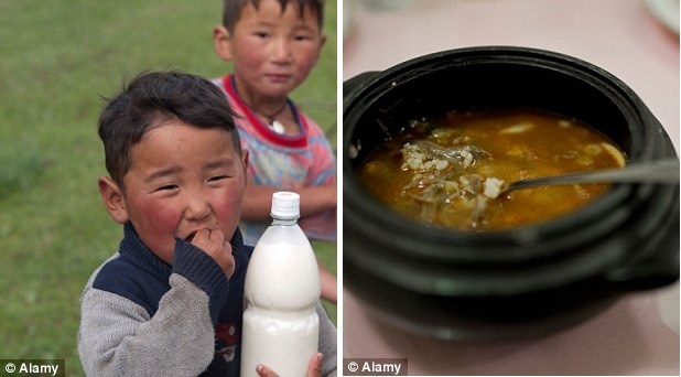 Sữa ngựa lên men (trái) và canh thịt chó (phải).