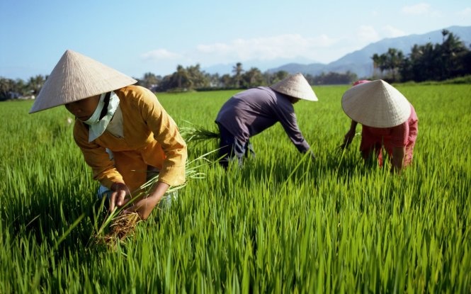 Tại xứ Huế, du khách có thể bắt gặp hình ảnh chiếc nón bài thơ - một vật dụng được xem là mang cả vẻ đẹp của tâm hồn Huế.  Để làm đẹp và tôn vinh thêm cho chiếc nón lá xứ Huế, các nghệ nhân còn ép bức tranh của sông Hương, núi Ngự và vài dòng thơ vào giữa hai lớp lá: “Ai ra xứ Huế mộng mơ. Mua về chiếc nón bài thơ làm quà”.