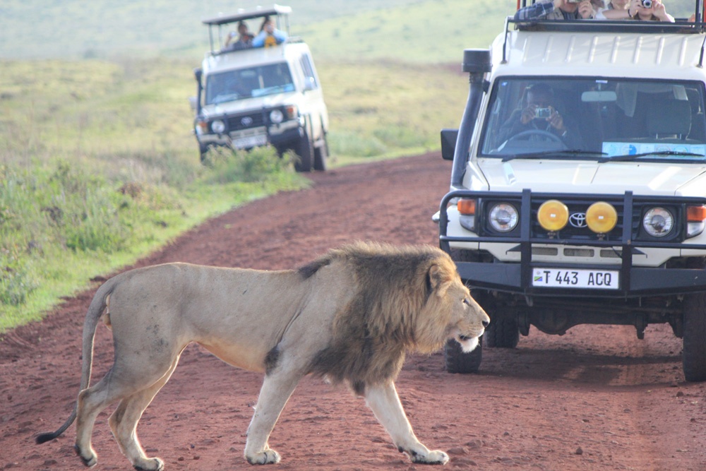 Co that chau Phi tran ngap thu du? hinh anh