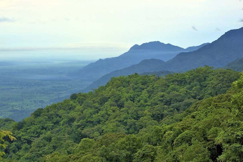 Châu Phi toàn sa mạc: Tất nhiên là ở châu Phi có các sa mạc lớn như Sahara ở phía bắc và Namib ở Tây Bắc, phần lớn châu lục này, nhất là trung tâm châu Phi, là các khu rừng rậm nhiệt đới. Các đỉnh núi cao như Kilimanjaro ở Tanzania thường có khí hậu cận Bắc cực. Thêm nữa, rất nhiều khu vực của châu Phi là đồng cỏ chứ không phải chỉ toàn sa mạc.