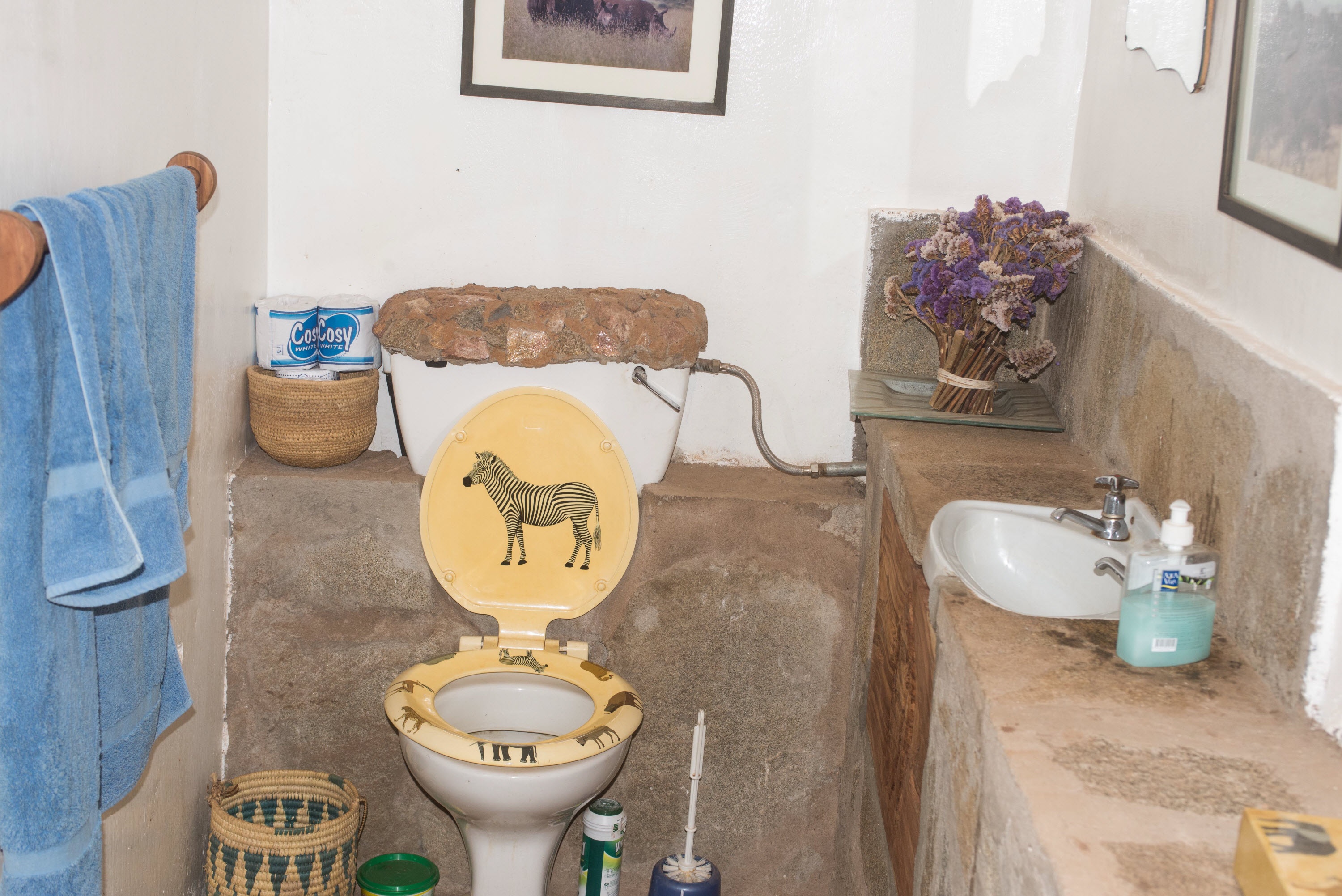 Không có nhà vệ sinh: Mỗi quốc gia có một kiểu nhà vệ sinh khác nhau, nhưng toilet ở châu Phi không có gì khác biệt với bồn cầu và vòi nước như bình thường. 