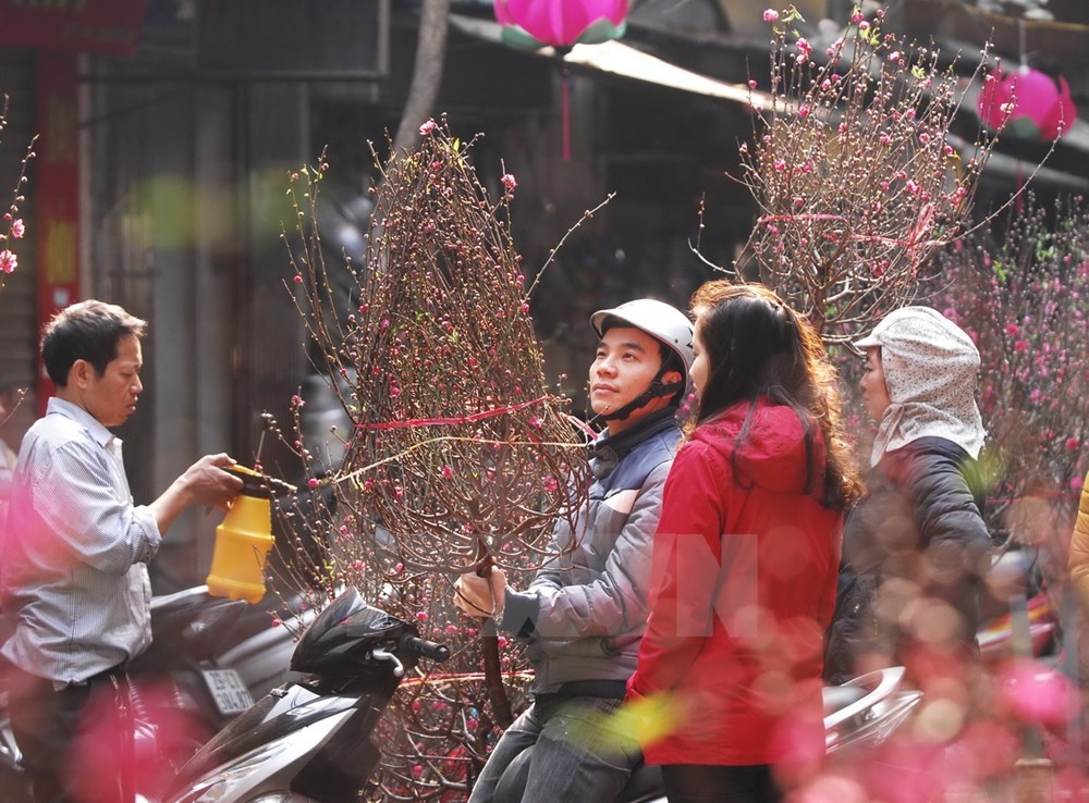 Có rất nhiều loại hoa được bày bán ở chợ hoa Hàng Lược, nhưng được ưa chuộng nhất vẫn là những cây đào, cành đào đủ kiểu, đáp ứng nhu cầu mua sắm của người dân. (Ảnh: Minh Đức/TTXVN)