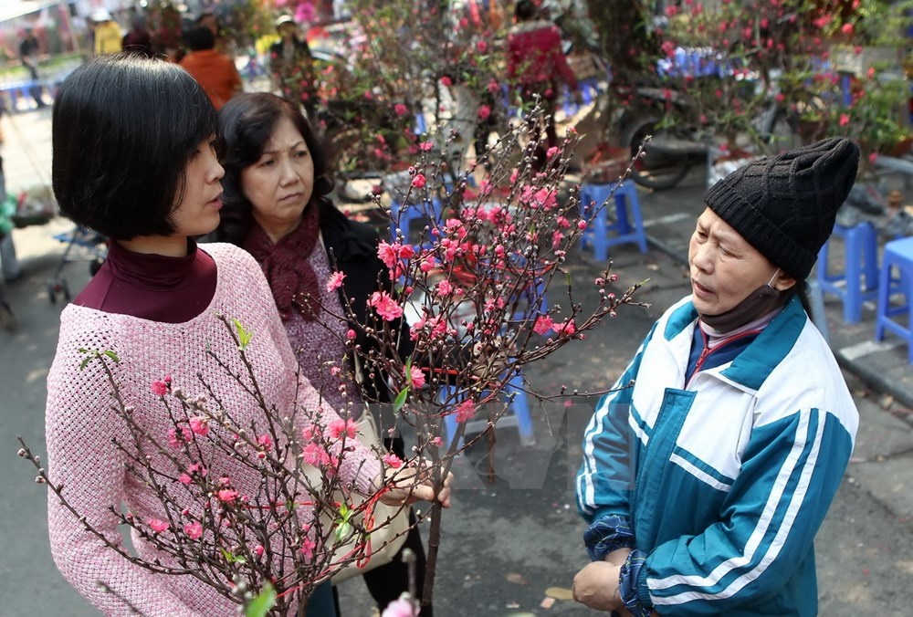 Hai mẹ con chọn mua hoa đào tại chợ hoa Hàng Lược. (Ảnh: Quốc Khánh/TTXVN)