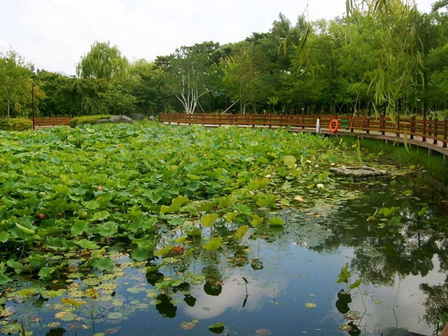 Vườn thực vật Hanbat