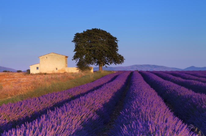 Provence, Pháp: Sự kết hợp của đồ ăn, ánh nắng và rượu vang cùng khung cảnh tuyệt đẹp khiến Provence là điểm đến mơ ước của nhiều cặp đôi. Nơi đây có những ngọn núi với đỉnh phủ tuyết trắng, những ngôi làng cổ kính nằm trên đồi và bãi biển Cote d’Azur... Các cặp đôi có thể lựa chọn nhiều hoạt động thú vị cho kỳ nghỉ của mình.