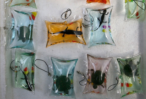 Móc chìa khóa rùa sống: Một trong những thứ lạ lùng nhất mà bạn có thể mua được ở Trung Quốc là móc chìa khóa chứa động vật sống, thường là rùa hoặc cá mặt trăng cỡ nhỏ. Chúng được cho vào các túi nhựa nhỏ chứa dung dịch giàu dinh dưỡng (được cho là có thể nuôi sống con vật trong 3-4 tháng). Tuy nhiên, việc các túi nhựa bị bịt kín khiến con vật không có ôxy, nhiều tổ chức bảo vệ động vật ở Trung Quốc đã lên tiếng phản đối sản phẩm này. Nhiều người mua chúng như bùa may mắn, nhưng cũng nhiều người mua để giải phóng những con vật bên trong.