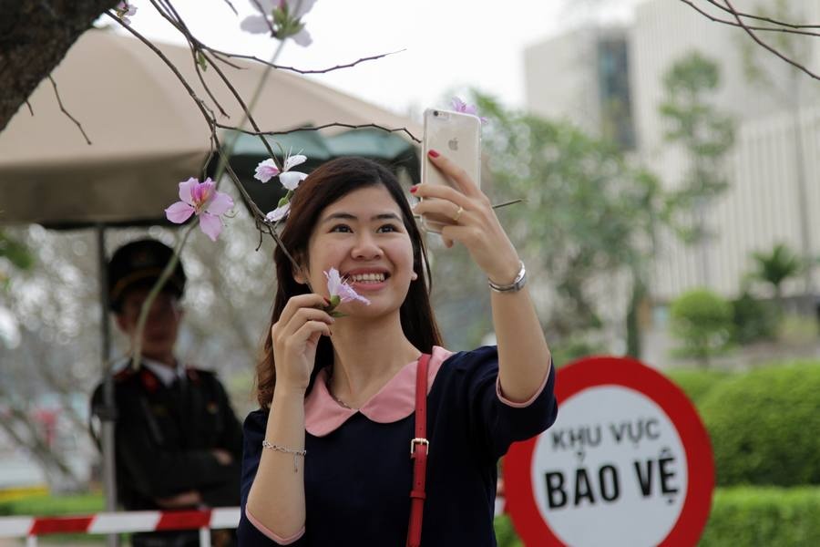 So với những năm trước chúng ta có thể được ra vào thoải mái ở đường Bắc Sơn để chụp ảnh thì năm nay được bảo vệ nghiêm ngặt nên du khách chỉ có thể chụp ảnh ở bên ngoài hàng rào.