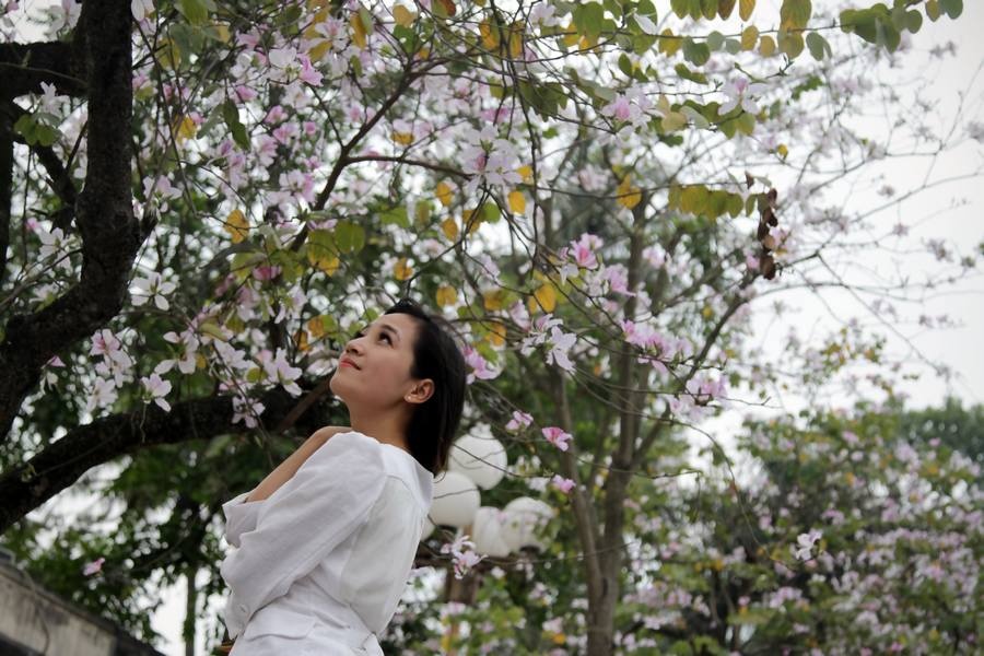 Hoa ban Tay Bac giua long Thu do hinh anh
