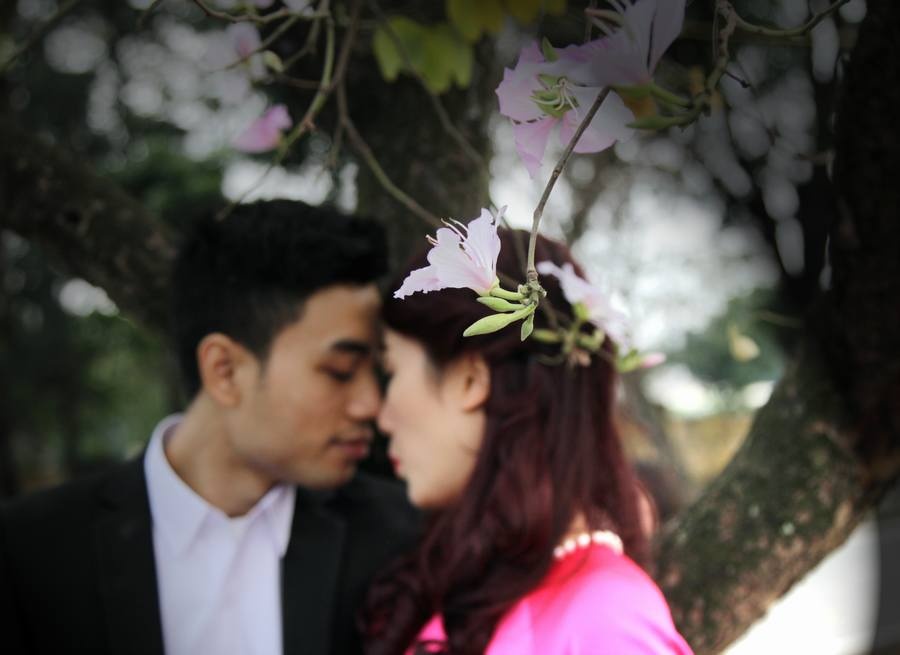 Những hàng hoa ban thẳng tắp, tím ngắt là một địa điểm lý tưởng để các cặp đôi lui tới chụp ảnh.