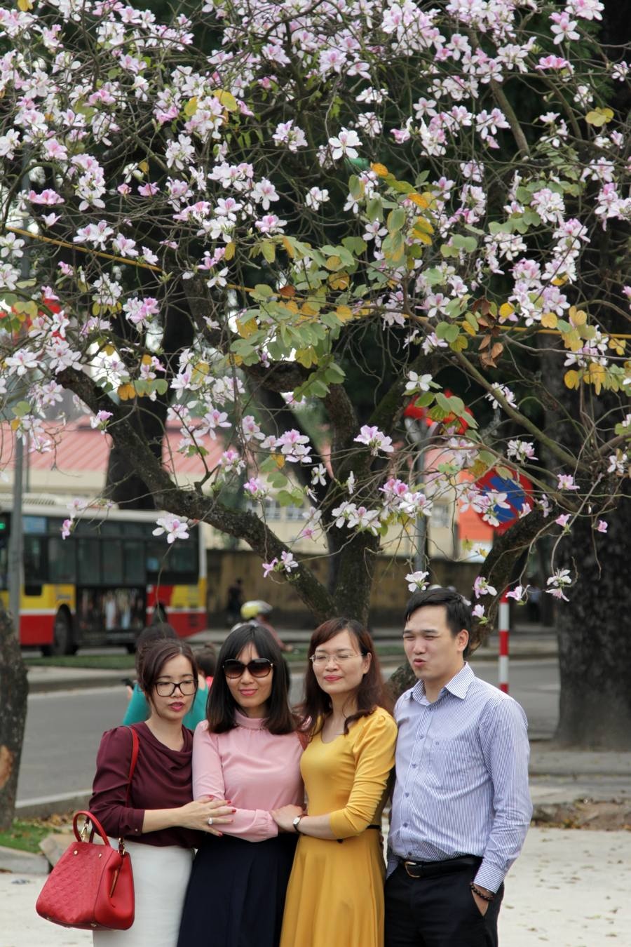 Nhiều người đã kịp lưu giữ lại những khoảnh khắc tình cảm bên bạn bè, đồng nghiệp... dưới gốc ban lãng mạn.