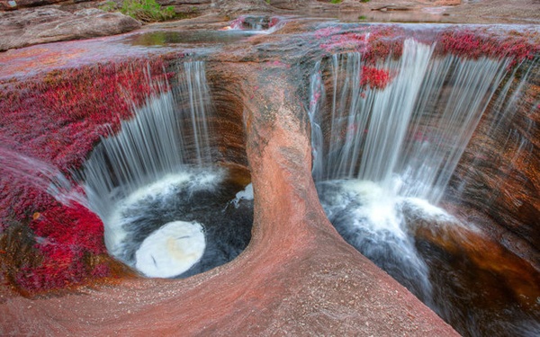 4. Sông Cano Cristales, Colombia:  Sông Cano Cristales nằm ở phía đông dãy núi Andes, miền trung Colombia, thuộc công viên La Macarena. Đây là con sông  dài 100 km được gọi bằng nhiều cái tên như sông ngũ sắc, sông cầu vòng nước…bởi vẻ đẹp đa sắc màu của dòng nước của nó.