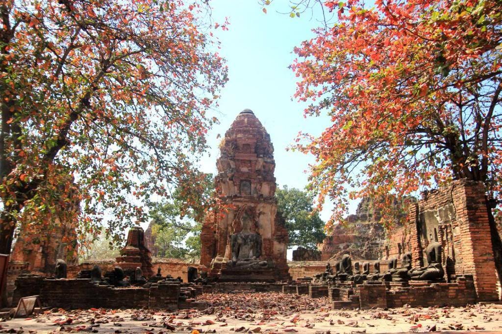 Khung cảnh nơi đây đem lại cho du khách một cảm giác bình yên, tĩnh lặng.