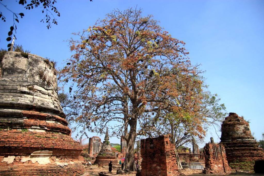 Một ngày đủ để du khách trải nghiệm không khí trầm mặc ở cố đô của Thái Lan.