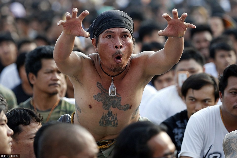 Tín đồ đang ở trạng thái nhập định này bắt chước hành động của con hổ được xăm trên ngực anh. 