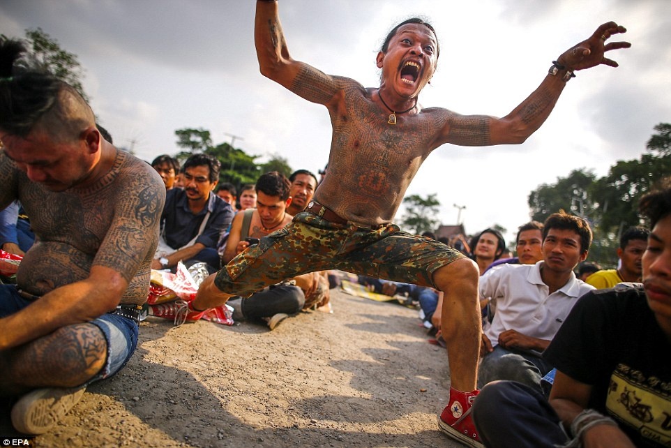 Người ta tin rằng các tín đồ khi rơi vào trạng thái nhập định sẽ có những đặc điểm giống với loài họ xăm trên người, ví dụ như gầm lên giống hổ. 