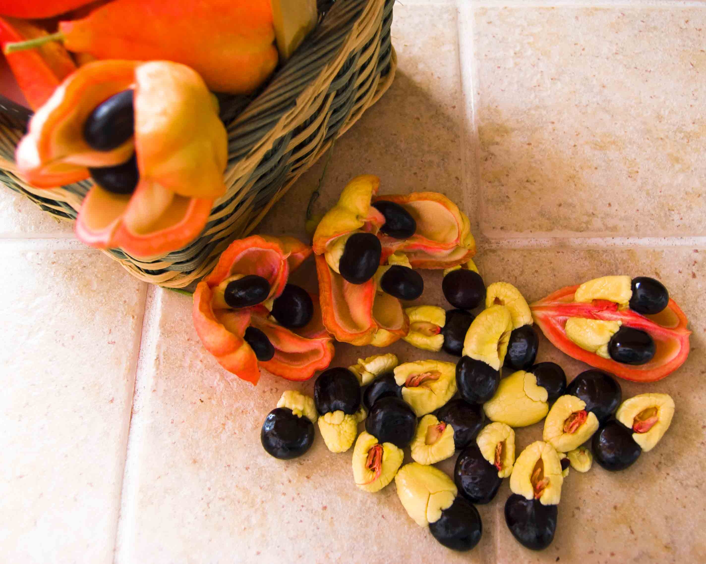 Hạt Ackee (Jamaica): Phần màu đỏ và đen của loại hạt này rất độc, có thể gây chết người, phần màu vàng bên trong là một loại thức ăn phổ biến ở Jamaica. Nếu ăn phải phần màu đỏ và đen, bạn sẽ bị nôn mửa, co giật thậm chí tử vong do lượng đường trong máu giảm mạnh. 