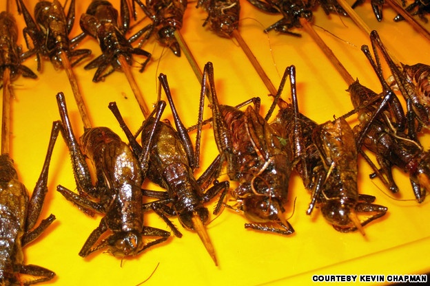 4. Châu chấu: Châu chấu là món tương đối phổ biến ở châu Á. Chúng được ưa chuộng do có lượng protein và chất xơ cao. Châu chấu rán có vị hơi giống gà rán và giá khoảng 18 nhân dân tệ (60.000 đồng).