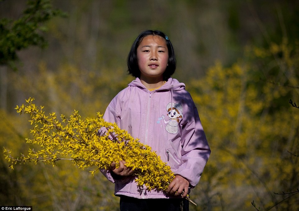 Một cô bé Triều Tiên đang hái hoa. Cho tới tận thập niên 90, khu vực này gần như không có liên hệ với các vùng khác. 