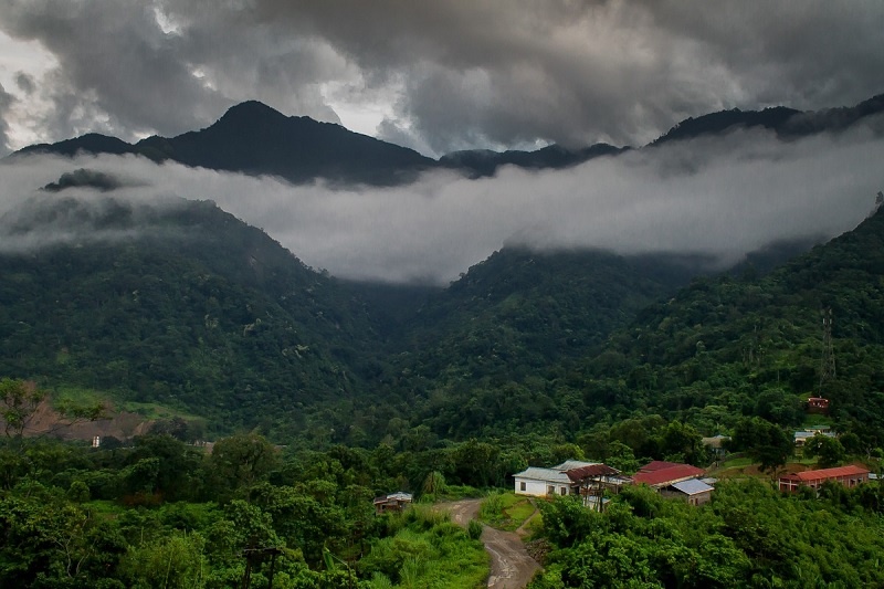 4. Chim tự sát tập thể, Jatinga, Assam: Làng Jatinga nằm trên đồi Borail của vùng Assam. Mỗi mùa mưa, ngôi làng đẹp đẽ này lại chứng kiến một hiện tượng kỳ lạ. Khoảng giữa tháng 9 và tháng 10, nhất là vào những tối âm u và sương mù, hàng trăm con chim di cư lại lao vào cây và các tòa nhà đến chết. Hiện tượng chim tự sát tập thế này được thế giới chú ý sau những nghiên cứu của nhà tự nhiên học nổi tiếng E.P. Gee vào thập niên 60.
