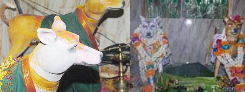 25. Đền thờ chó, Channapatna, Karnataka: Một cộng đồng người ở huyện Ramanagar, tỉnh Karnataka, đã dựng một ngôi đền lạ lùng để thờ cúng “bạn thân nhất của con người”. Họ cầu mong được thần chó ban cho may mắn.