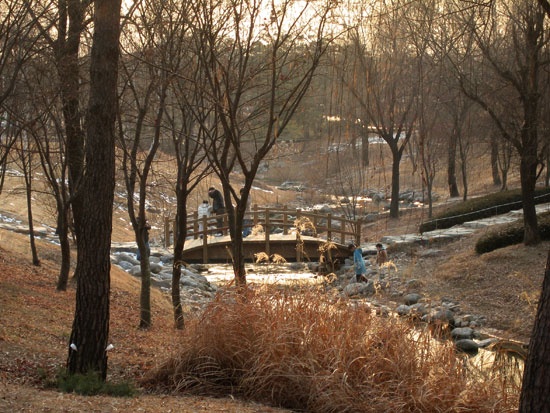  Mở cửa đón khách vào ngày 1 tháng 5 năm 2002, công viên World Cup từng là một bãi rác trong 15 năm với hơn 92 triệu tấn rác. 