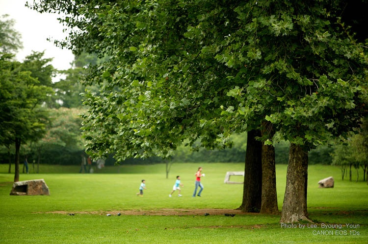 Công viên Yongsan: Với diện tích 75.900 m2, cánh đồng cỏ lớn và hồ nước trong vắt đem lại sự bình yên hoàn hảo cho người dân. Giữa công viên là một hồ nước với những cây dương liễu, ghế dài và cỏ xanh bao quanh.