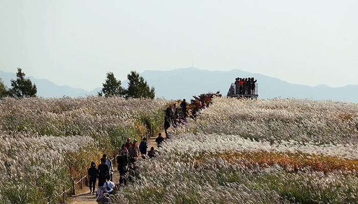Hàn Quốc phải mất 6 năm để xử lý môi trường (áp dụng các biện pháp tránh nước bẩn từ rác làm ô nhiễm) và thêm 1 năm để xây dựng công viên này.