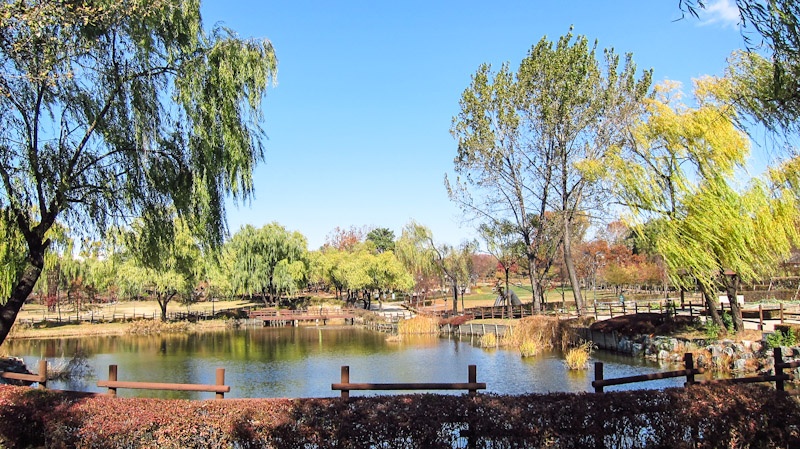 Tại đây lúc nào cũng rộn tiếng chim, ngoài ra còn có các bàn ghế dã ngoại cho người dân sử dụng. 