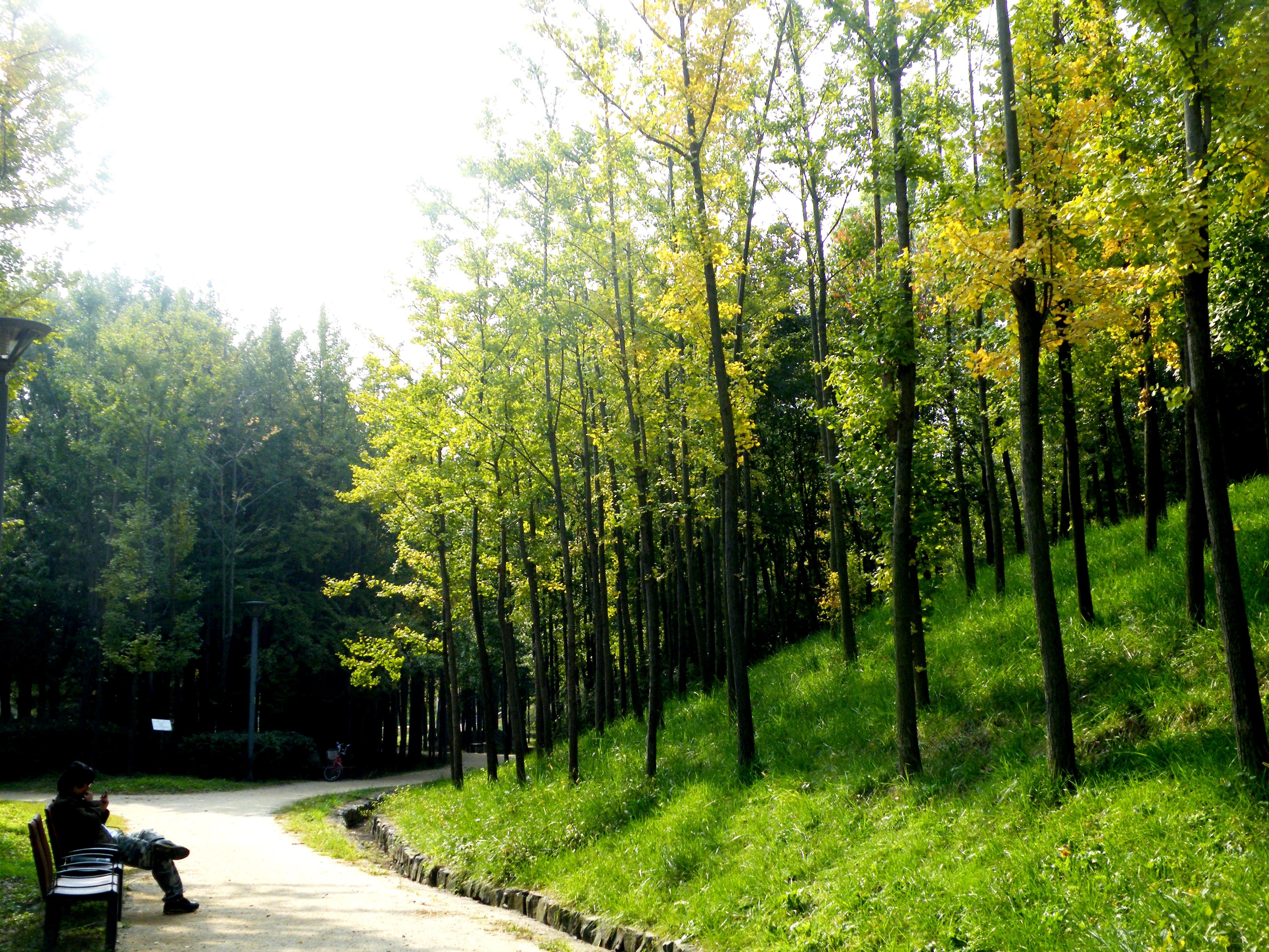 Trải rộng trên diện tích 1.156.498 m2, công viên này đáp ứng nhu cầu có không gian xanh của cư dân Seoul, với hơn 400.000 cây và 100 động vật khác nhau. Tại đây, người dân có thể tham gia các hoạt động ngoài trời, đạp xe, đi bộ giữa khung cảnh thiên nhiên trong lành, yên bình.