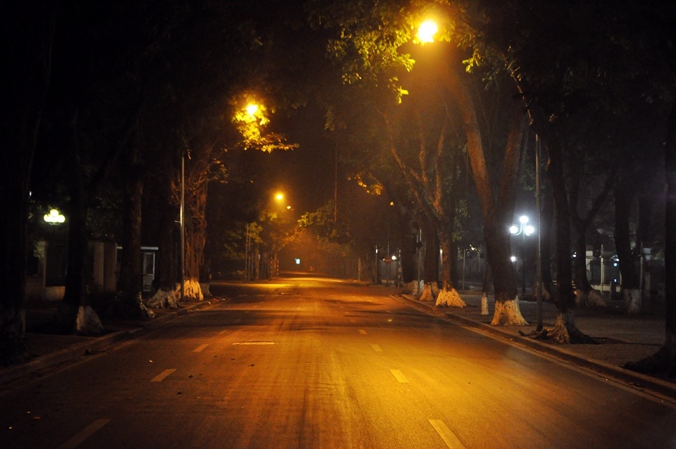 Ky uc ve nhung hang cay Ha Noi cua du khach Sai Gon hinh anh