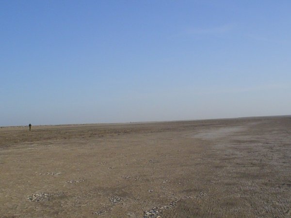 Lưu vực Sistan, Afghanistan: Khu vực nằm ở biên giới phía nam của Afghanistan là một trong những nơi khô hạn nhất thế giới, và những thay đổi gần đây càng khiến tình hình trầm trọng hơn. Thật khó tin nhưng lưu vực Sistan từng có đầm lầy Hamoun, một ốc đảo rộng 2.000 km2 do sông Helmand tạo thành. 