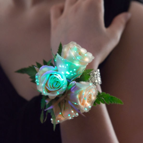 Loài hoa phát sáng đầu tiên trên thế giới được phát triển bởi giáo sư Chia Tet Fatt của Học viện Giáo dục Quốc gia vào ngày 1/12/1999. Ông dùng một giống phong lan trắng có tên Dendrobium White Fairy #5 và kết hợp với gien phát sáng của đom đóm. Kết quả là loài hoa này tỏa ra ánh sáng màu xanh lá trong 5 tiếng đồng hồ.