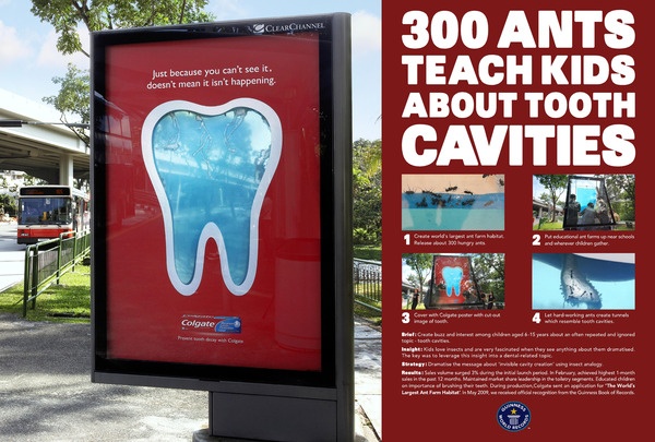 Tổ kiến lớn nhân tạo nhất thế giới được xây dựng bởi Colgate Palmolive Ltd Singapore có kích cỡ 1,2 x 0,9 x 0,08 m. Có khoảng 200 - 300 con kiến được thả vào đây. 