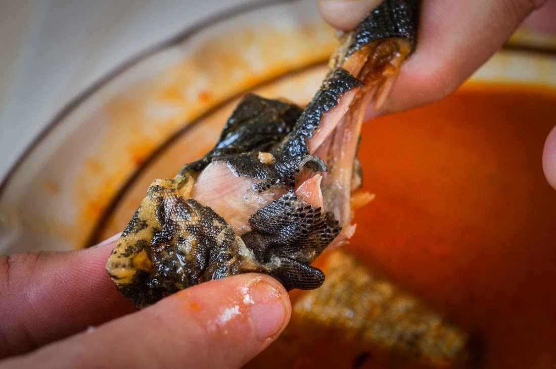 Súp cự đà (vùng Caribbe): Món súp cự đà khá phổ biến ở vùng Caribee, nhất là ở đảo Aruba, nơi cự đà được coi như gà. Món này được coi là có khả năng tăng cường sinh lực nam giới.