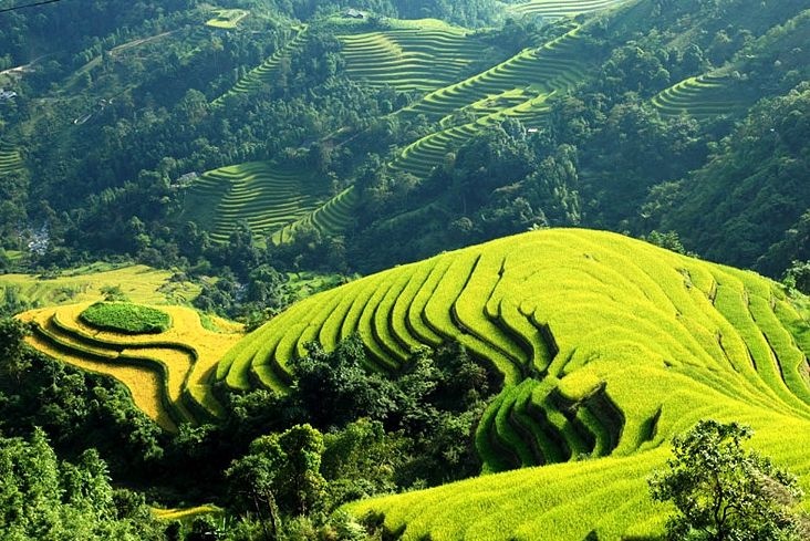 Sa Pa tuyet dep nhin tu tren cao hinh anh