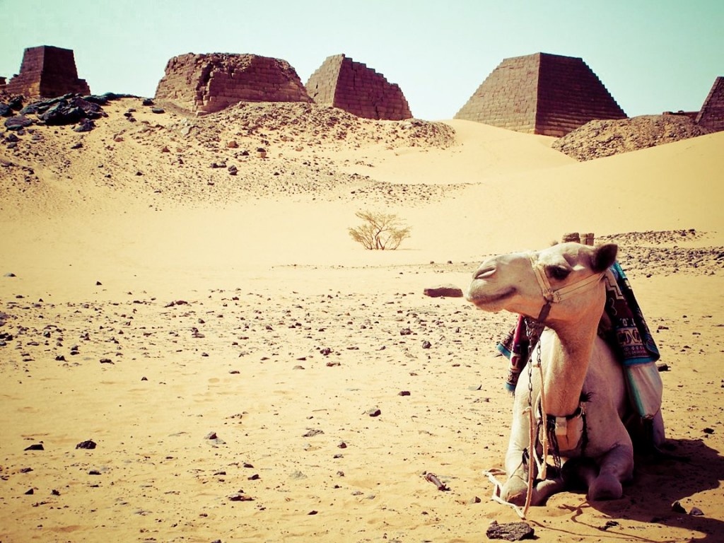 Wadi Halfa, Sudan: Nằm ở Bắc Sudan, Wadi Halfa không chỉ là một thành phố với lịch sử lâu đời và thú vị mà còn là một trong những nơi nóng nhất thế giới. Vào tháng 4 năm 1967, nhiệt độ nơi đây tăng vọt lên 52,7 độ C.