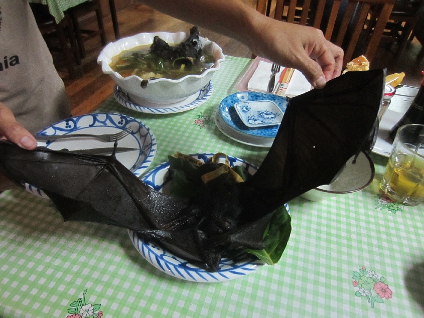 Thịt dơi: Không nhiều người dám ăn thử món này bởi hình dạng của con dơi khá đáng sợ. Thịt dơi thường được rán giòn và ăn cả con, hoặc đem hầm thành súp.