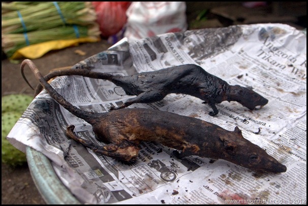 Kawok: Đây là món ăn được làm từ thịt chuột đuôi trắng.  Chuột được làm sạch, chặt bỏ đuôi, nấu cùng hành, rau mùi, sả, ớt, lá chanh, hạt Goraka, nghệ và cùi dừa. Thịt chuột mềm mượt và rất ngon, một khi đã ăn thì rất dễ nghiện.