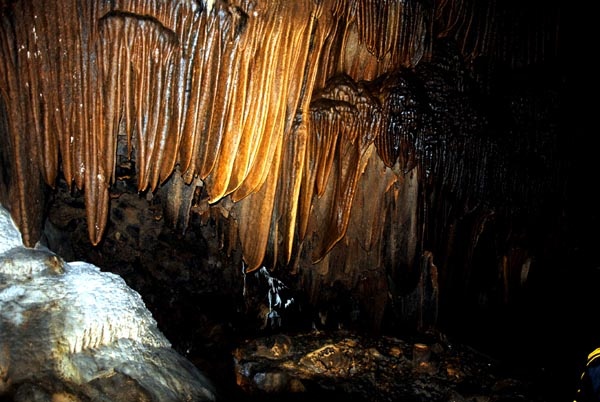 Với rất nhiều nhũ đá trắng trong suốt theo dạng thạch nhũ, rèm nhũ, nhiều sợi nhũ dài từ 1 đến 2 mét màu trắng xếp thành hình răng lược tựa như một chiếc đàn đá khổng lồ hay có những hình nhũ như một tòa tháp, một cây hoa long lanh trong vắt.