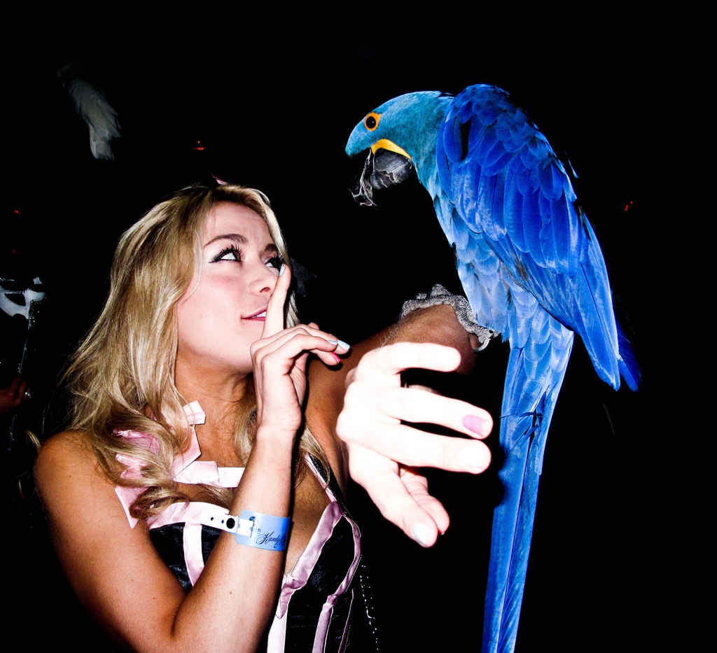 Dinh thự được cấp phép nhiều hoạt động đặc biệt: Điều gì tạo ra một bữa tiệc tuyệt vời? Tất nhiên là pháo hoa và động vật hoang dã rồi. Dinh thự được cấp phép cho cả hai hoạt động này. Đây là nhà riêng duy nhất ở Los Angeles được cấp phép sử dụng pháo hoa và một trong số ít những nhà được phép lập vườn thú. Dinh thự có một chuồng nuôi khỉ lớn và rất nhiều chim, chưa kể một con công được đi lại tự do trong khuôn viên.