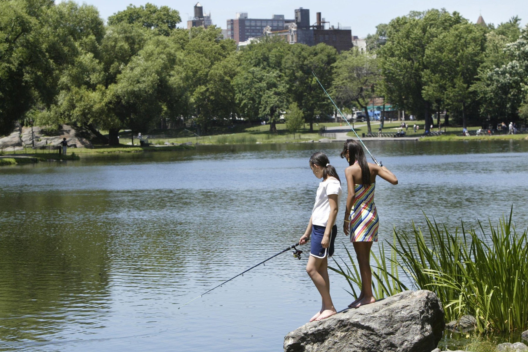 Ít người biết công viên cho phép câu cá tại các hồ và khu Harlem Meer là nơi lý tưởng nhất. Từ tháng 4 đến tháng 10, bạn có thể mượn cần câu miễn phí ở Trung tâm Khám phá Charles A. Dana và câu đủ loại cá, từ cá chép, cá trê, cá vược tới cá măng...  và sau đó thả chúng xuống hồ.