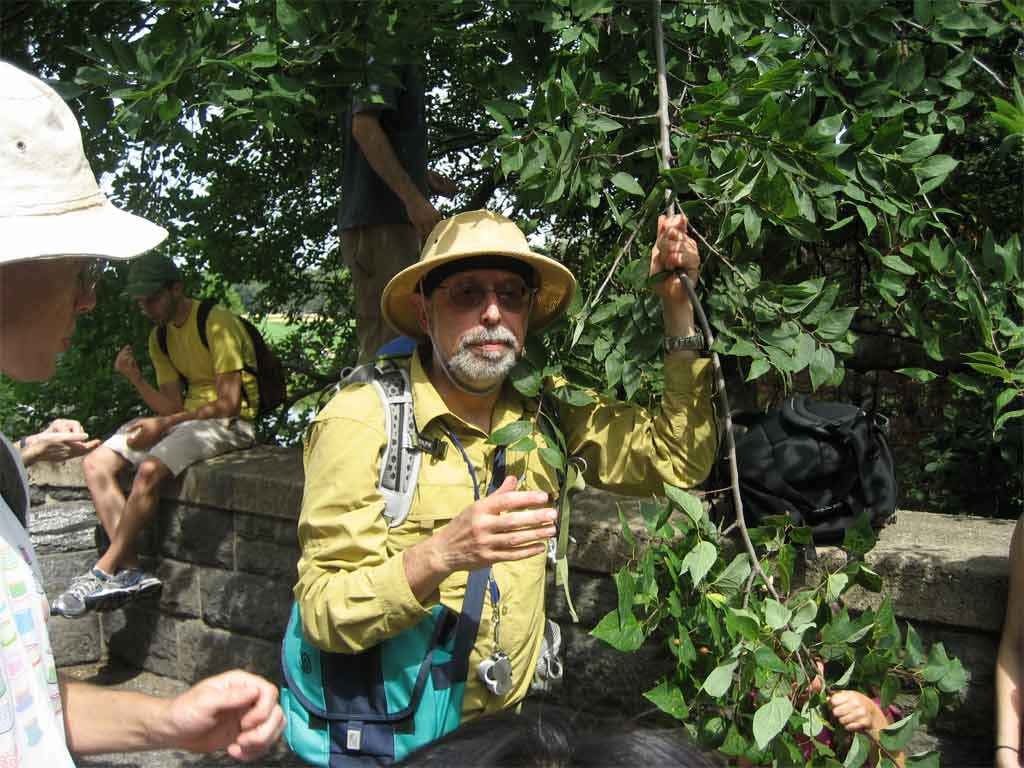 Bạn có thể làm một món salad ngon lành chỉ từ những loài cây trong công viên. Về cơ bản thì việc này là phạm luật, nhưng có một người dạy cách tìm kiếm và nhặt những loại quả trong công viên. 