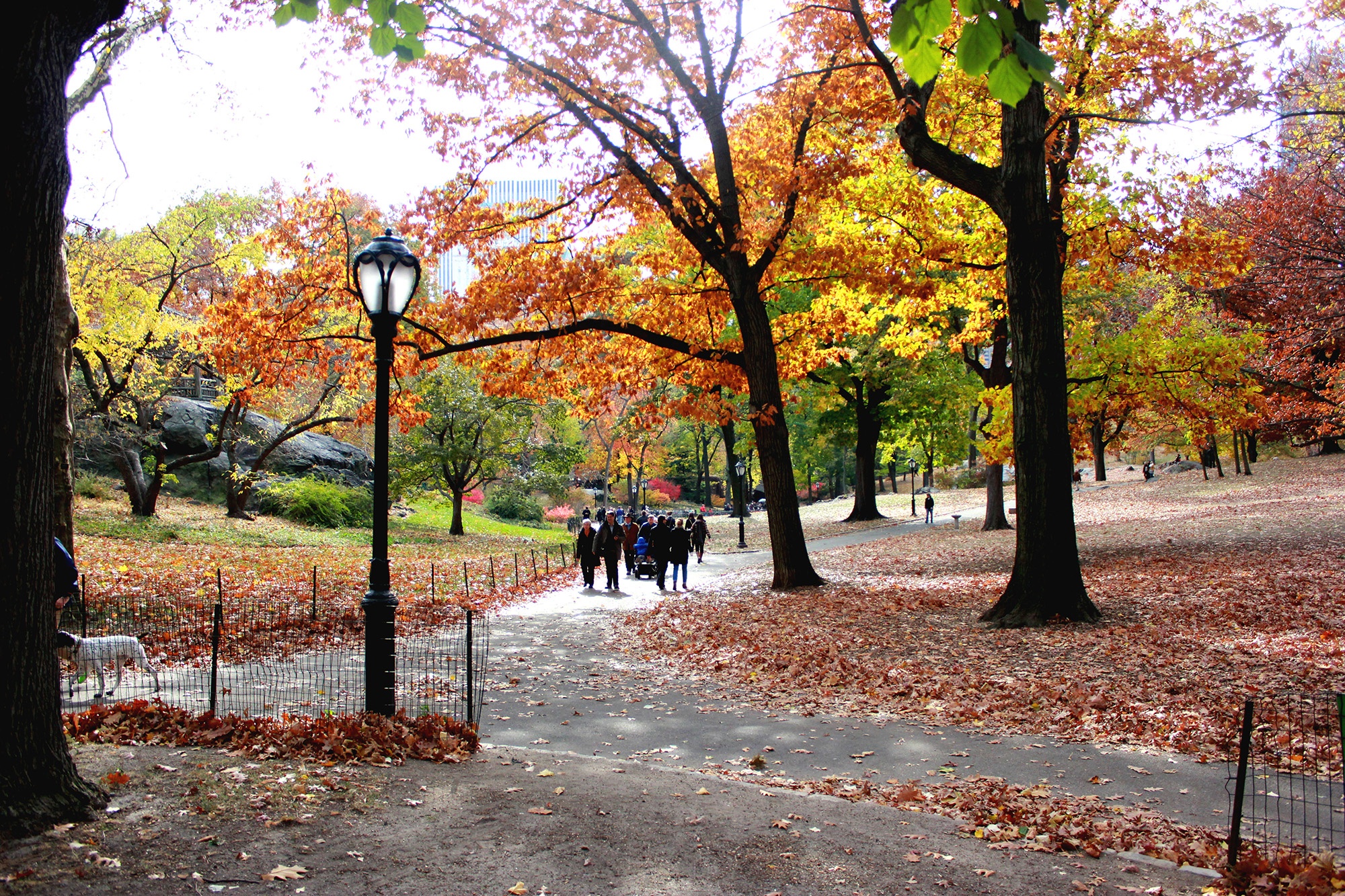 Ở đây, bạn có thể đoán được vị trí của mình từ cột đèn. Có tới 1.600 cột đèn rải rác khắp công viên và được đánh số theo vị trí. Ví dụ nếu bạn thấy số 8316 trên cột đèn thì có nghĩa là bạn đang ở gần phố 83 mạn phía đông. Hai số đầu tiên cho bạn biết con phố gần nhất và hai số tiếp theo cho biết bạn đang ở phía đông hay phía tây (số chẵn là phía đông, số lẻ là phía tây).