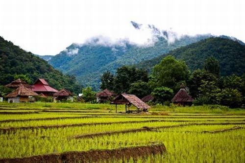 Thị trấn Pai, Thái Lan: Thị trấn Pai nằm tại tỉnh Mae Hong Son phía Bắc Thái Lan, là một thị trấn nhỏ xinh được bao quanh bởi các dãy núi cao quanh năm khí hậu ôn hòa, dễ chịu. Nơi đây là địa điểm tuyệt vời cho một cuối tuần nghỉ ngơi, thư giãn trong bầu không khí yên bình, ngắm nhìn vẻ đẹp giản dị của thiên nhiên. Bạn cũng có thể rời khỏi phòng nghỉ của mình để khám phá những thác nước và suối nước nóng gần đó.