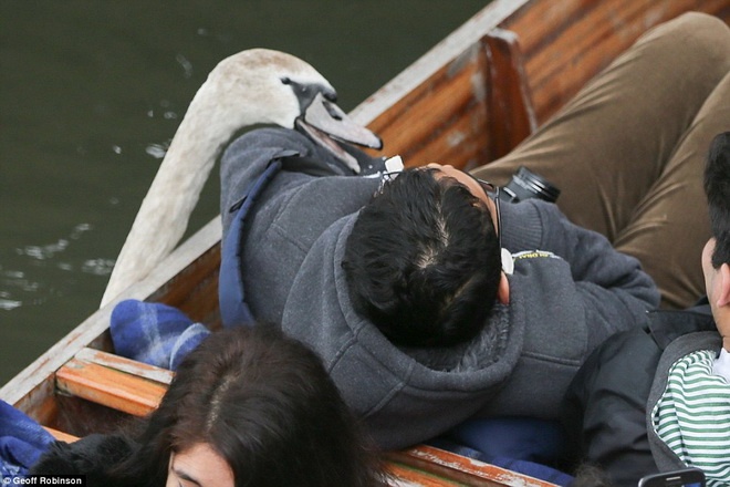 Ông Harry Crossell, một người sống gần sông cho biết: