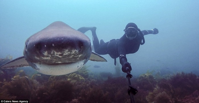 Cuoc song lung linh duoi day dai duong chup bang gay selfie hinh anh