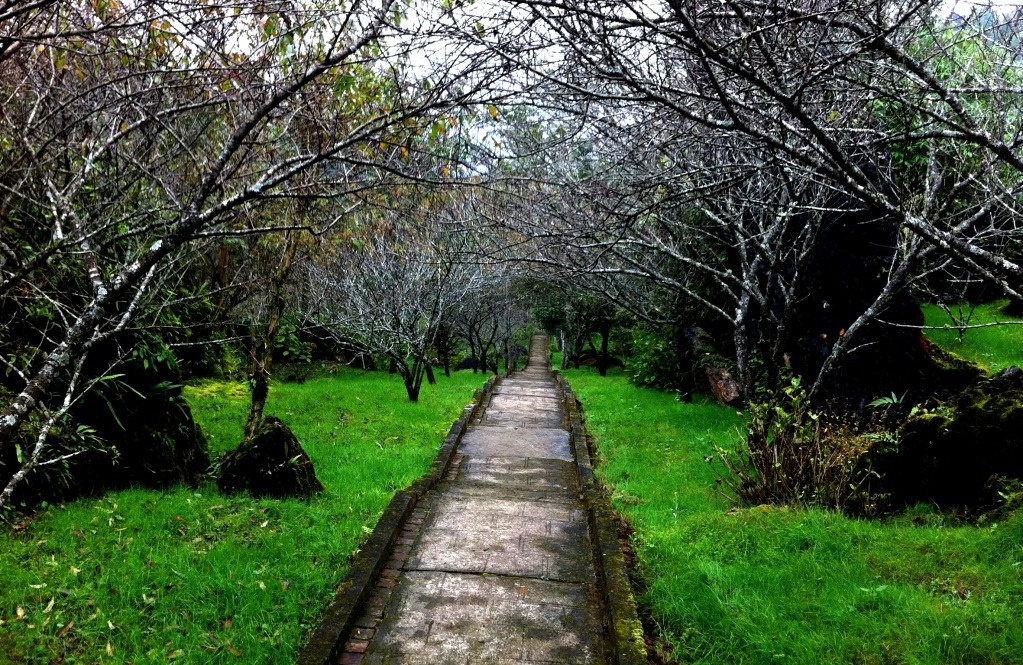 Du khách nên tới các điểm tham quan nổi bật ở Sa Pa  bản Cát Cát, thác Bạc, núi Hàm Rồng. Ảnh: Linhantravel.