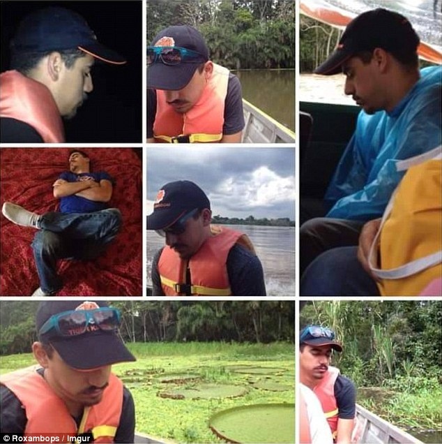 Alex đã ngủ gật và bỏ lỡ mọi khoảnh khắc thú vị của chuyến đi.