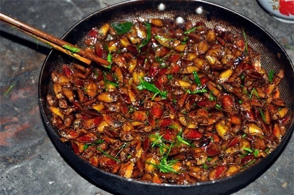 Bọ xít rang: Món ăn đặc biệt này có ở Lạng Sơn. Ít ai tưởng tượng nổi loài bọ nổi tiếng hôi hám này lại có thể được chế biến thành món béo ngậy và ngon tuyệt. Bọ xít được ngâm nước muối loãng để tiết hết chất hôi, sau đó đem rang với lá chanh.