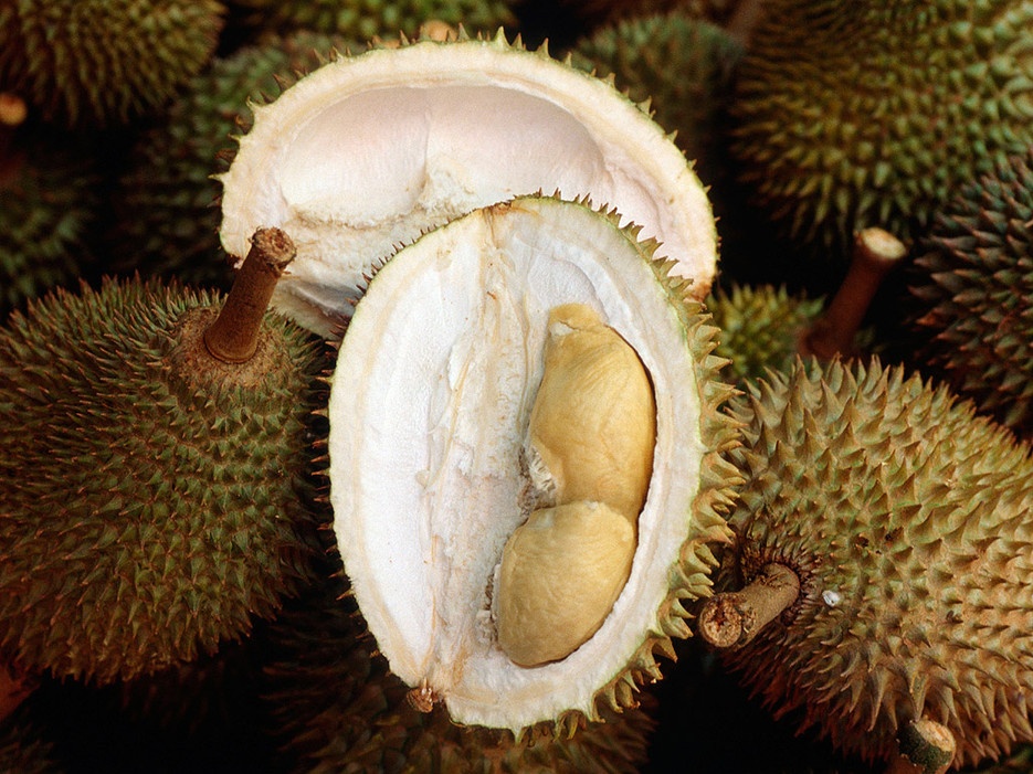 Sầu riêng: Đây có lẽ là món nhiều người biết tới nhất trong danh sách này. Sầu riêng có vị rất ngon nhưng mùi thì không phải ai cũng mê, đến mức loại quả này đã bị cấm đem lên các phương tiện công cộng hay vào khách sạn tại các quốc gia Đông Nam Á.